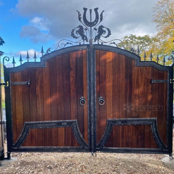 High Quality Brown Teak Wood with Wrought Iron Main Gate