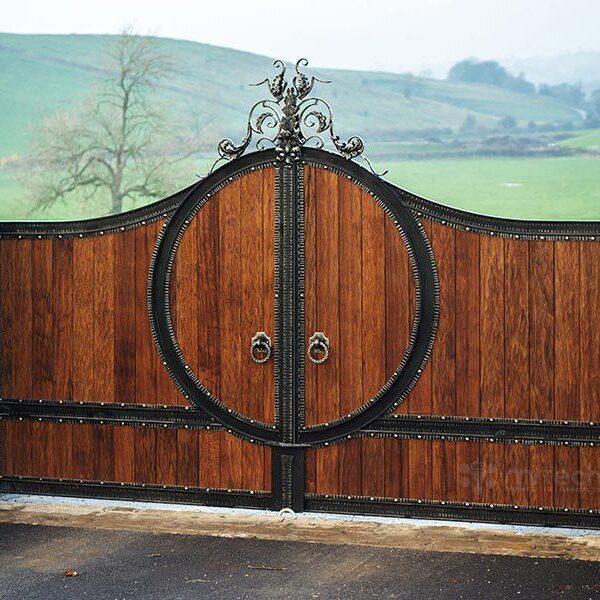 Luxury Wrought Iron Steel Security Entrance Gate for Villa